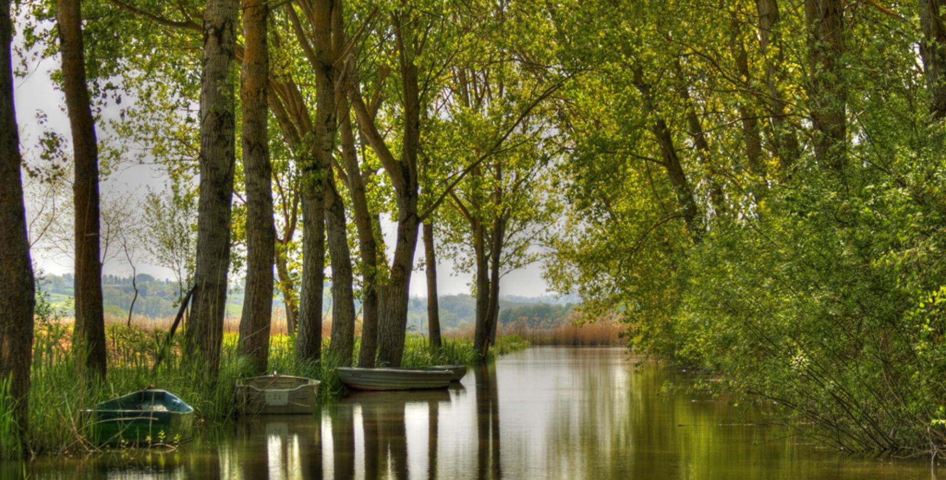 Montepulciano Lake Nature Reserve