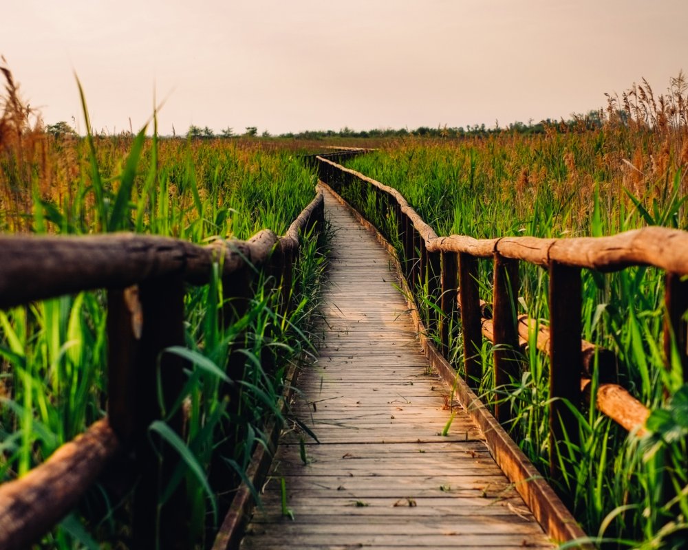 Oasis LIPU en Massaciuccoli