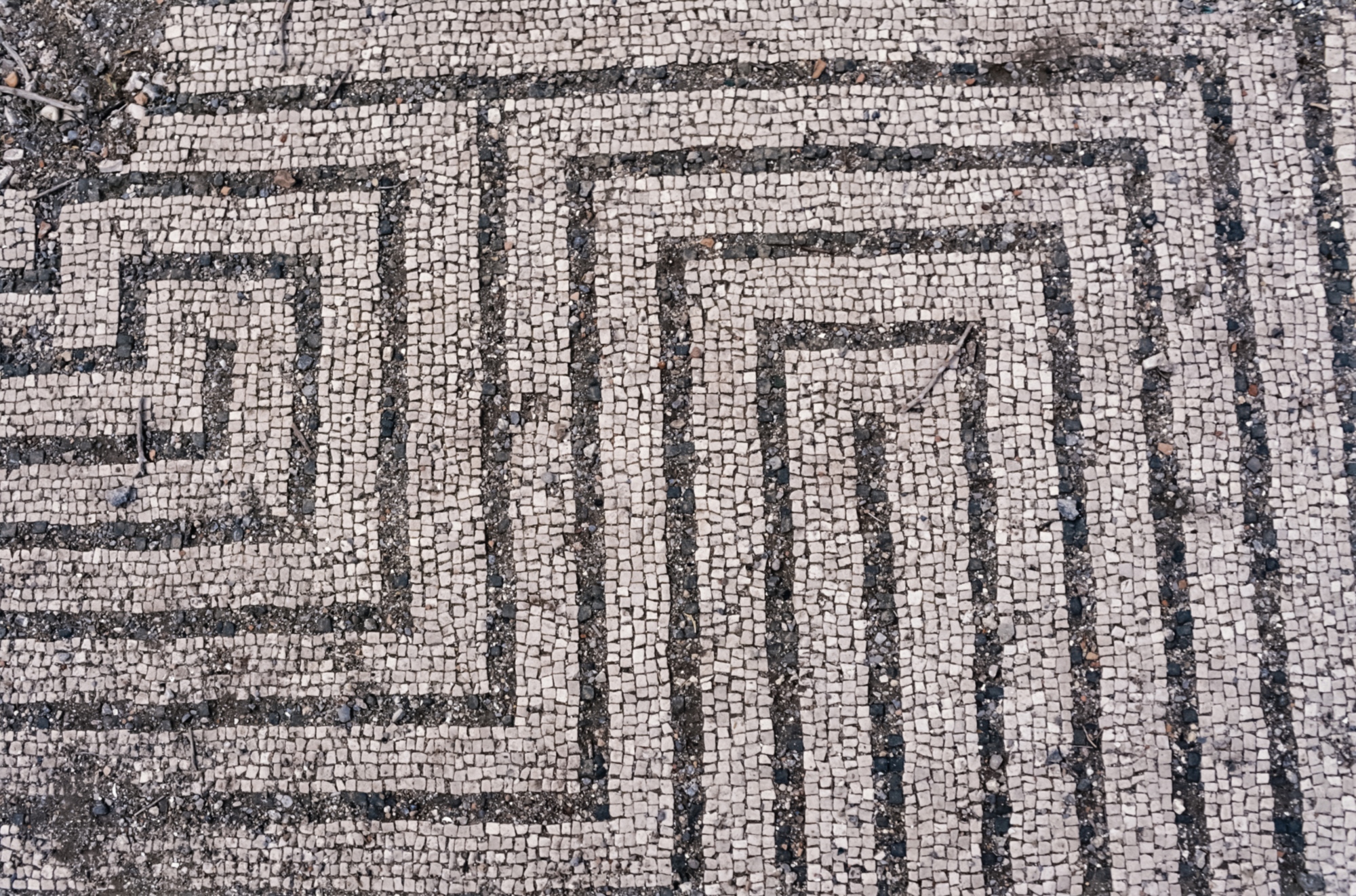 Il mosaico sul pavimento della Villa Domizia a Punta Scaletta