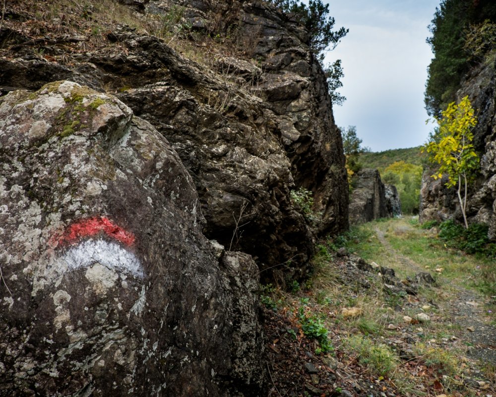 Das Naturschutzgebiet von Monterufoli