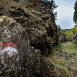Riserva Naturale di Monterufoli