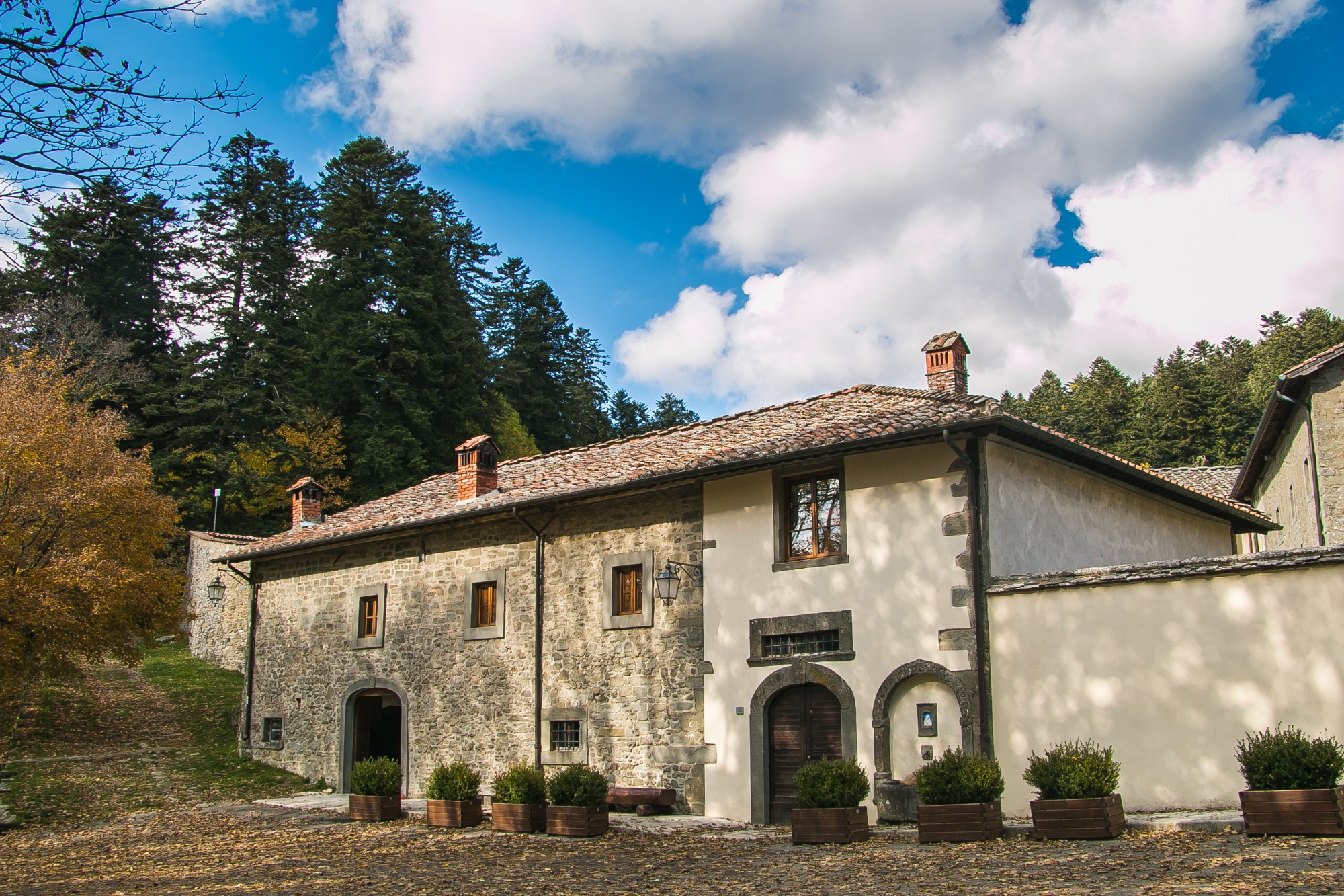 Forêts du Casentino