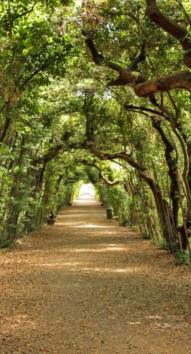 Tunel verdes en los Jardines de Boboli