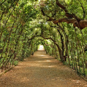 Tunel verdes en los Jardines de Boboli