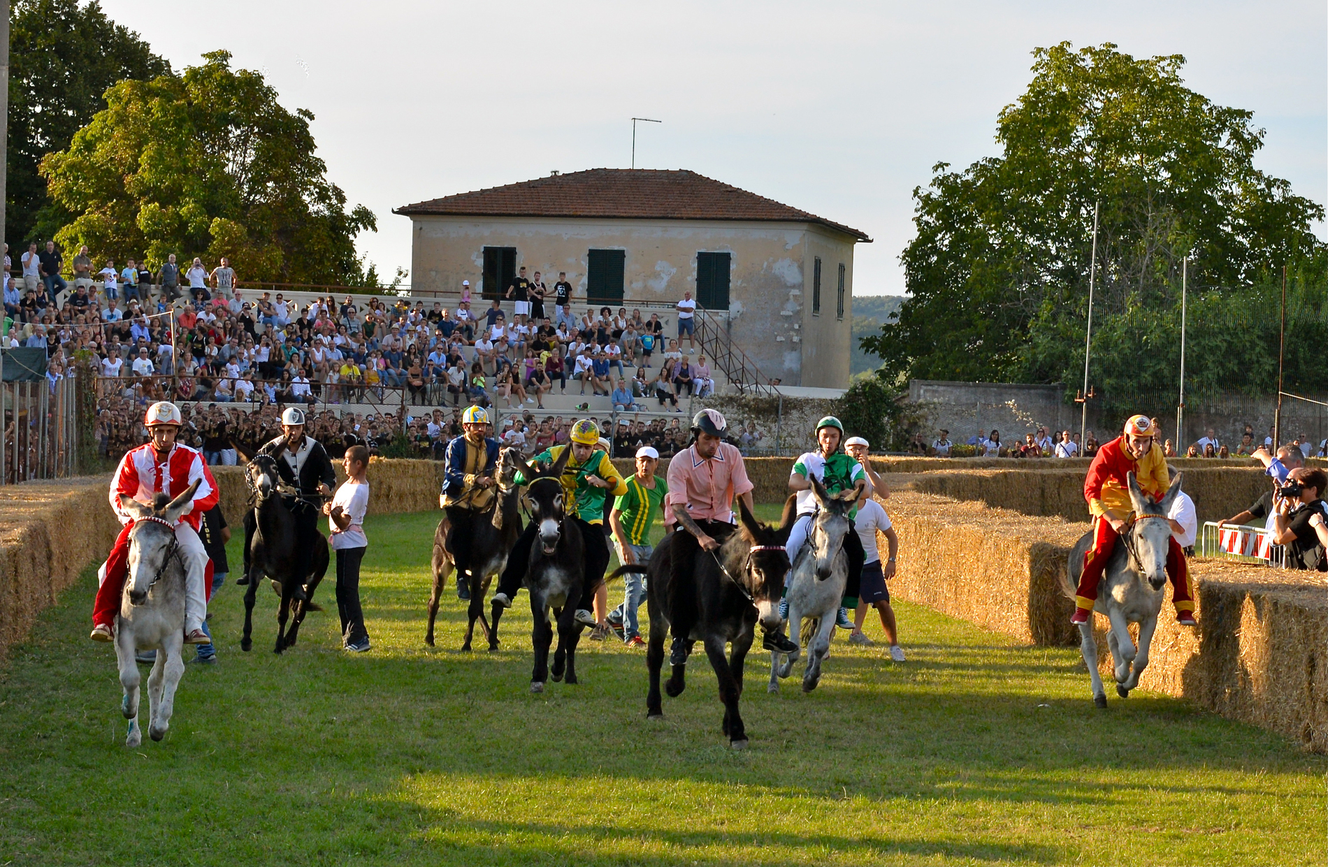7 jockeys in colorful costumes ride small donkeys inside a ring bordered by hay bales, at Marconi Stadium during the Palio dei Ciuchi