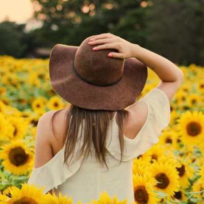 Girasoli Girasoli