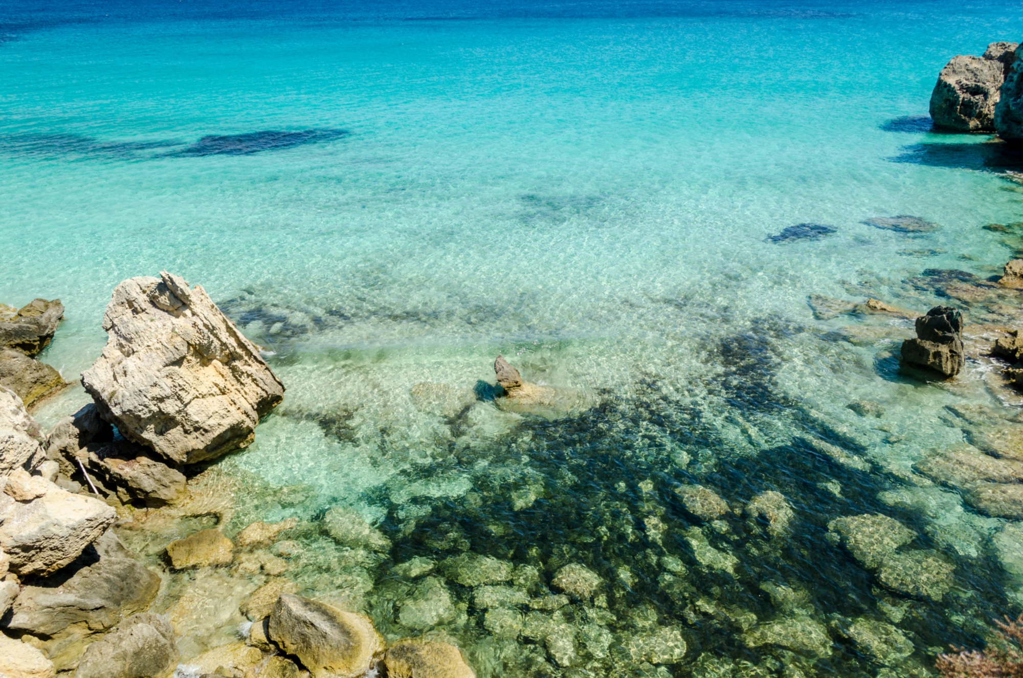 Le acque trasparenti di Pianosa