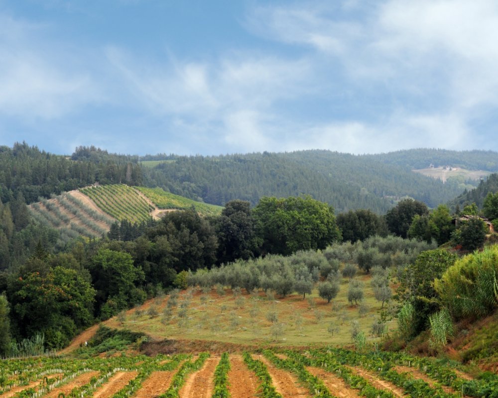 Paisaje de Chianti