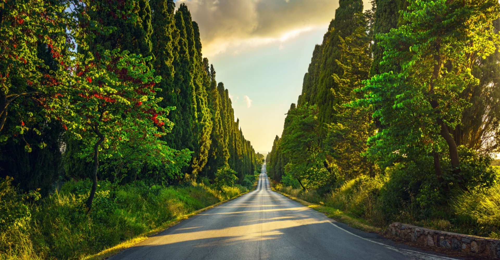 Bolgheri, die Zypressenallee Bolgheri, die Zypressenallee
