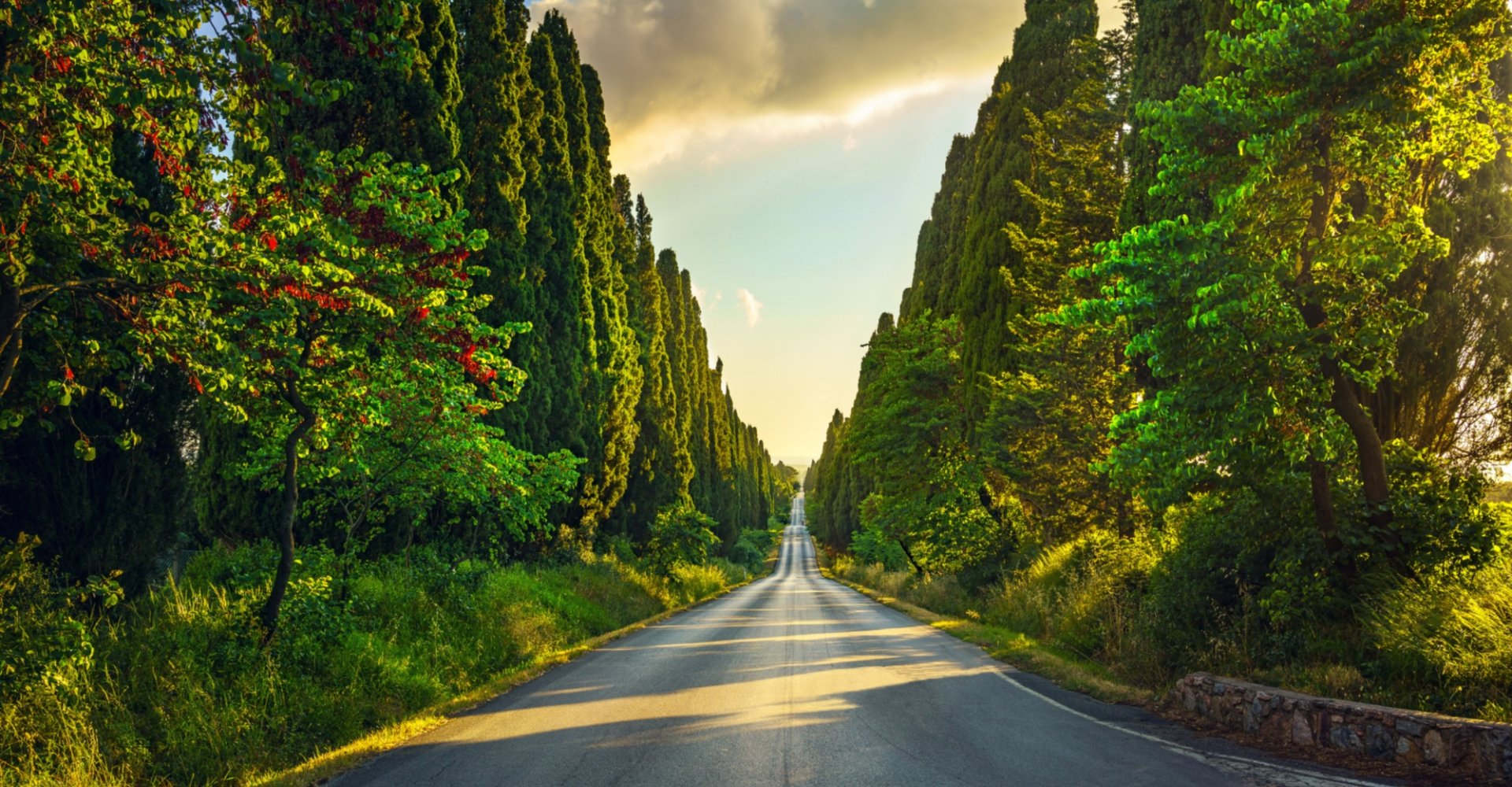 Bolgheri, die Zypressenallee