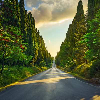 Bolgheri, Strada dei cipressi Bolgheri, Strada dei cipressi