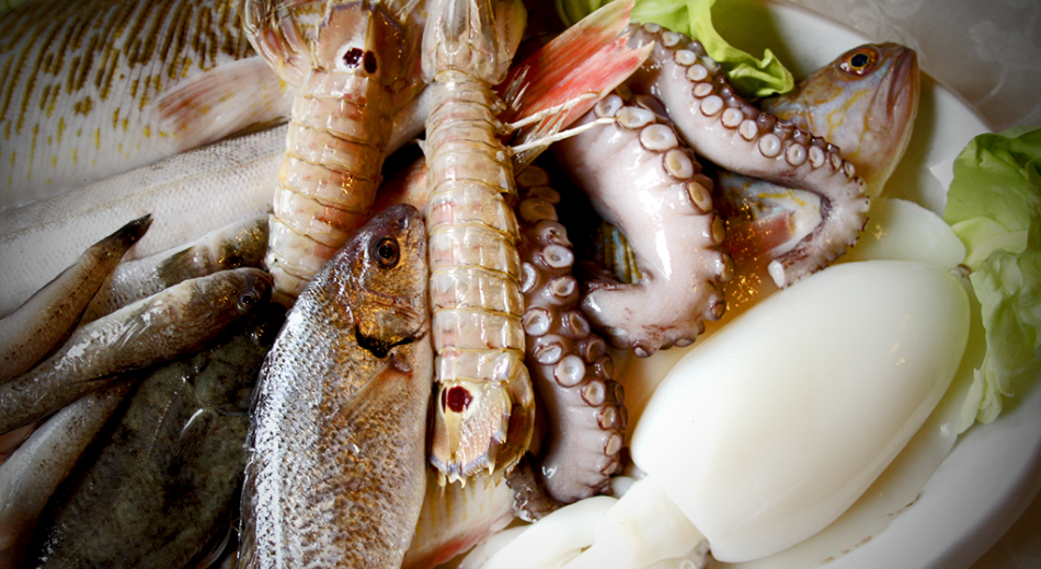 Fish and seafood for the Cacciucco soup Fish and seafood for the Cacciucco soup