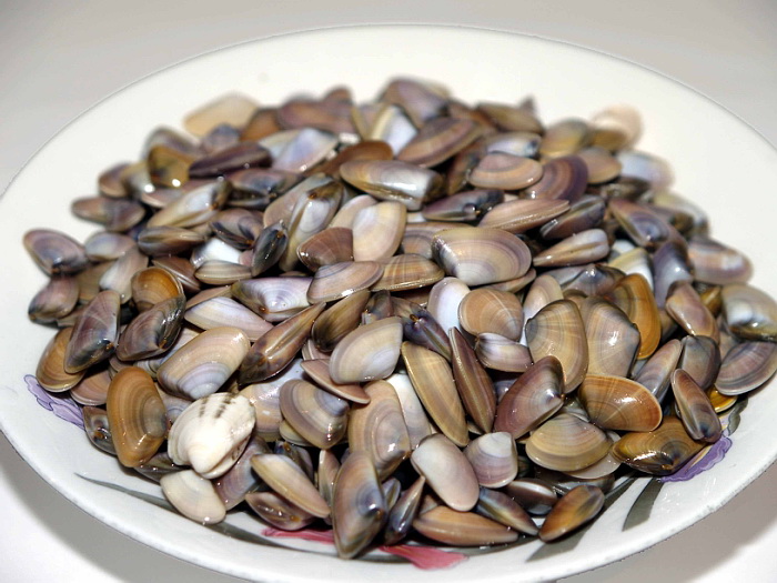 Tiny clams