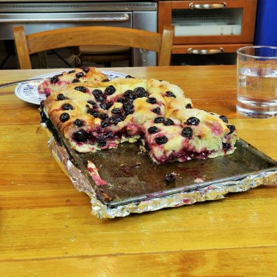 Schiacciata con l'uva Schiacciata con l'uva