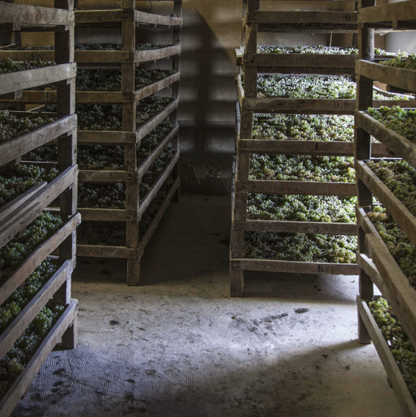 Grapes are left to dry until December