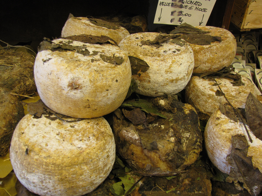 Pecorino aged with walnut leaves in terracotta jars