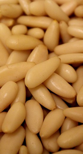 Pine nuts from Migliarino-San Rossore Park