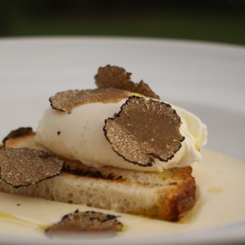 Poched egg with black truffles