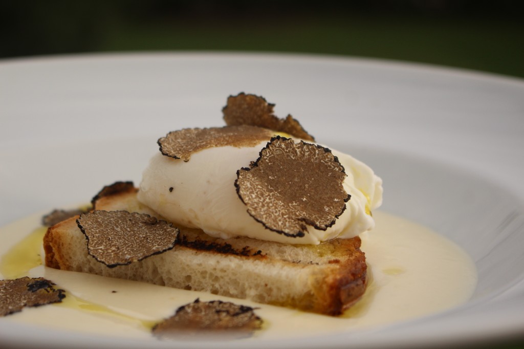 Poched egg with black truffles