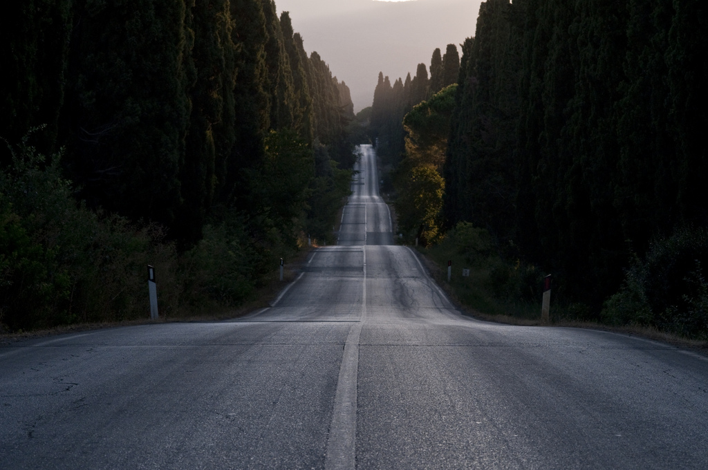 Bolgheri road