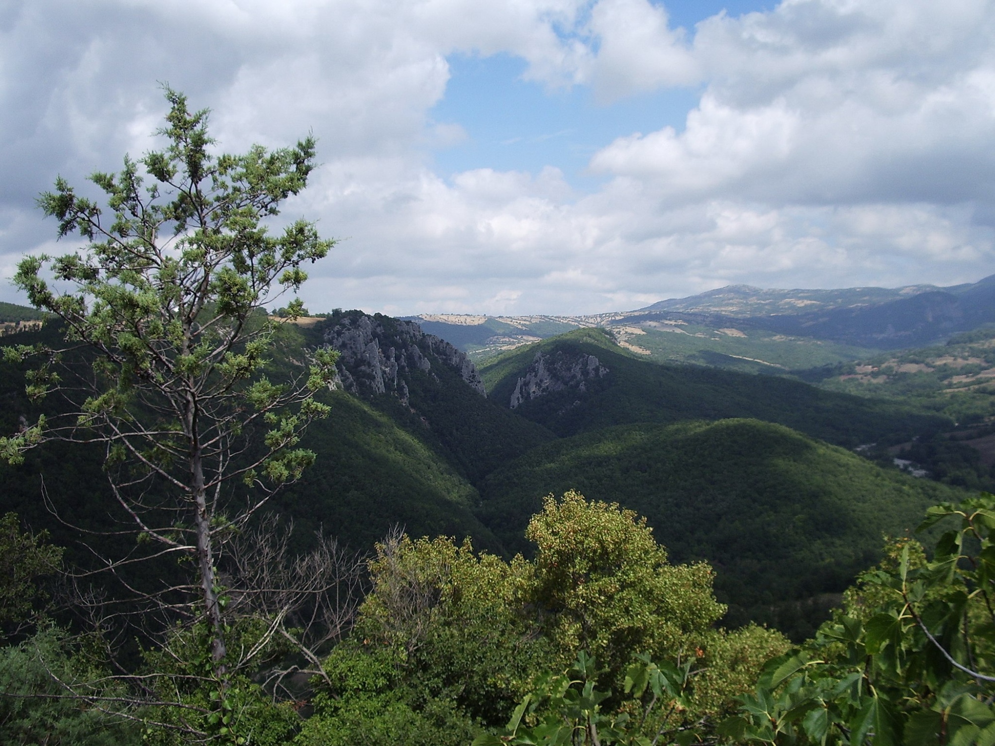 The Rocconi Nature Reserve