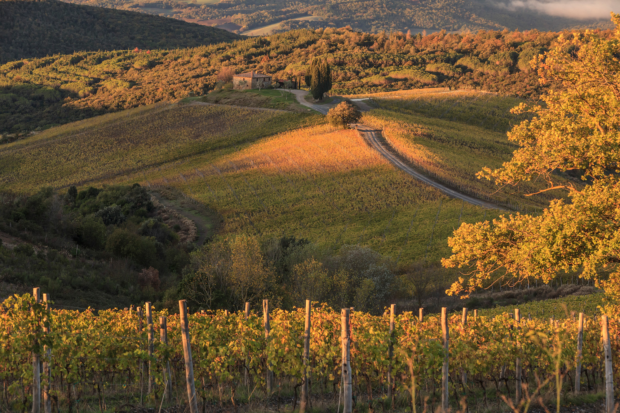 Territoires