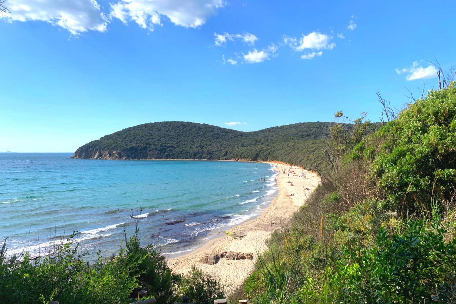 Cala Violina - Scarlino