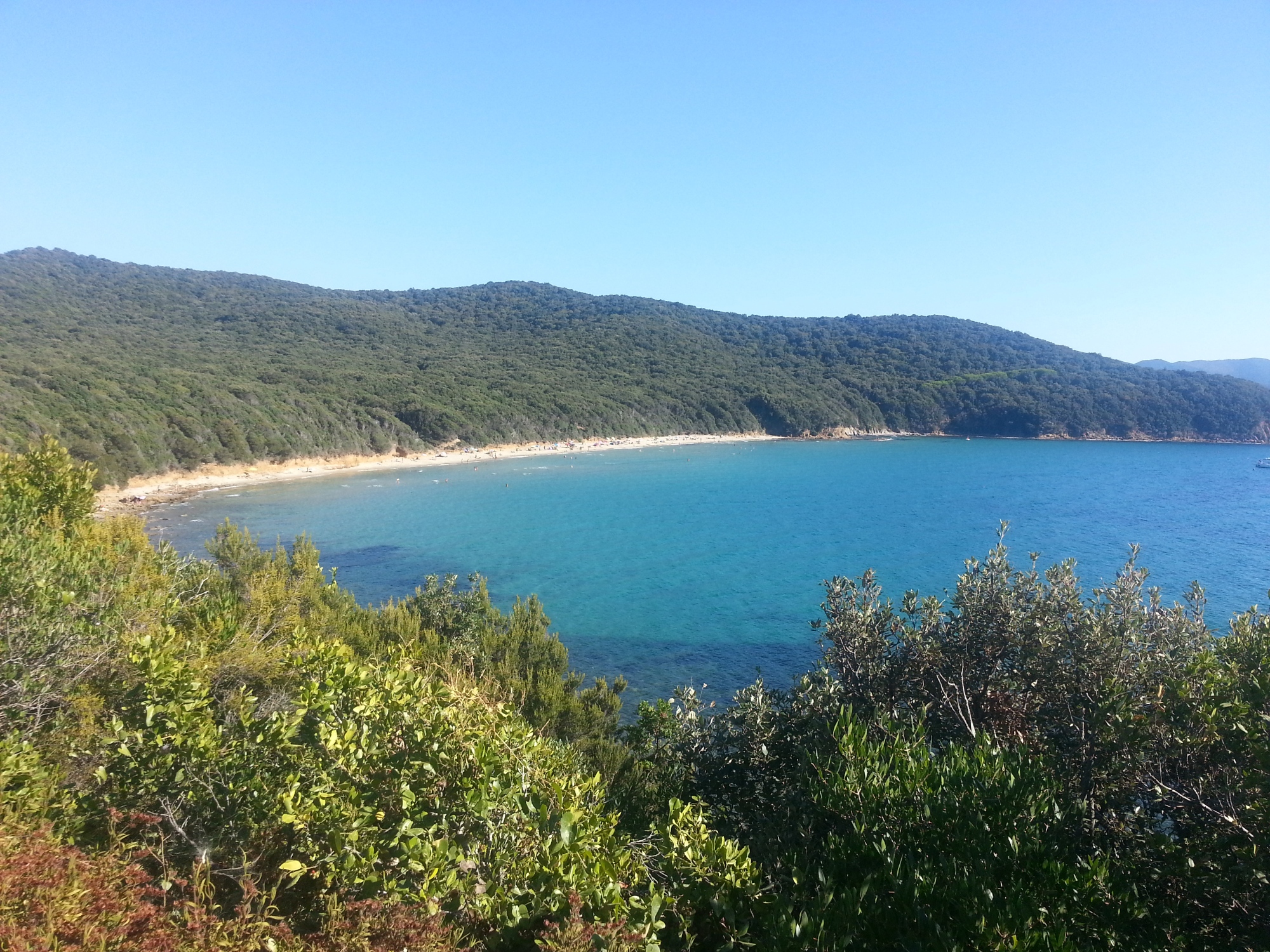 Cala Violina dall'alto