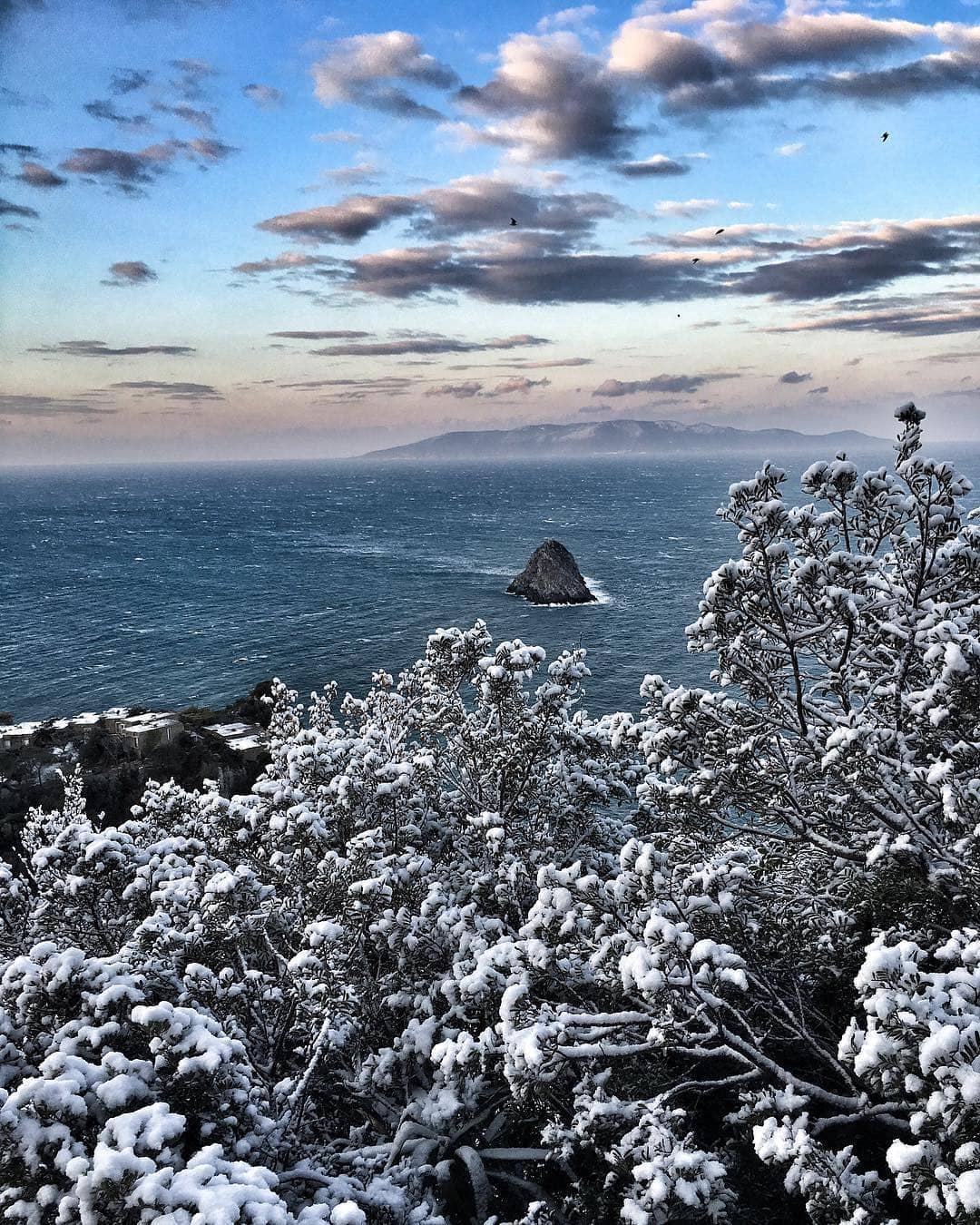 Calamoresca, Argentario