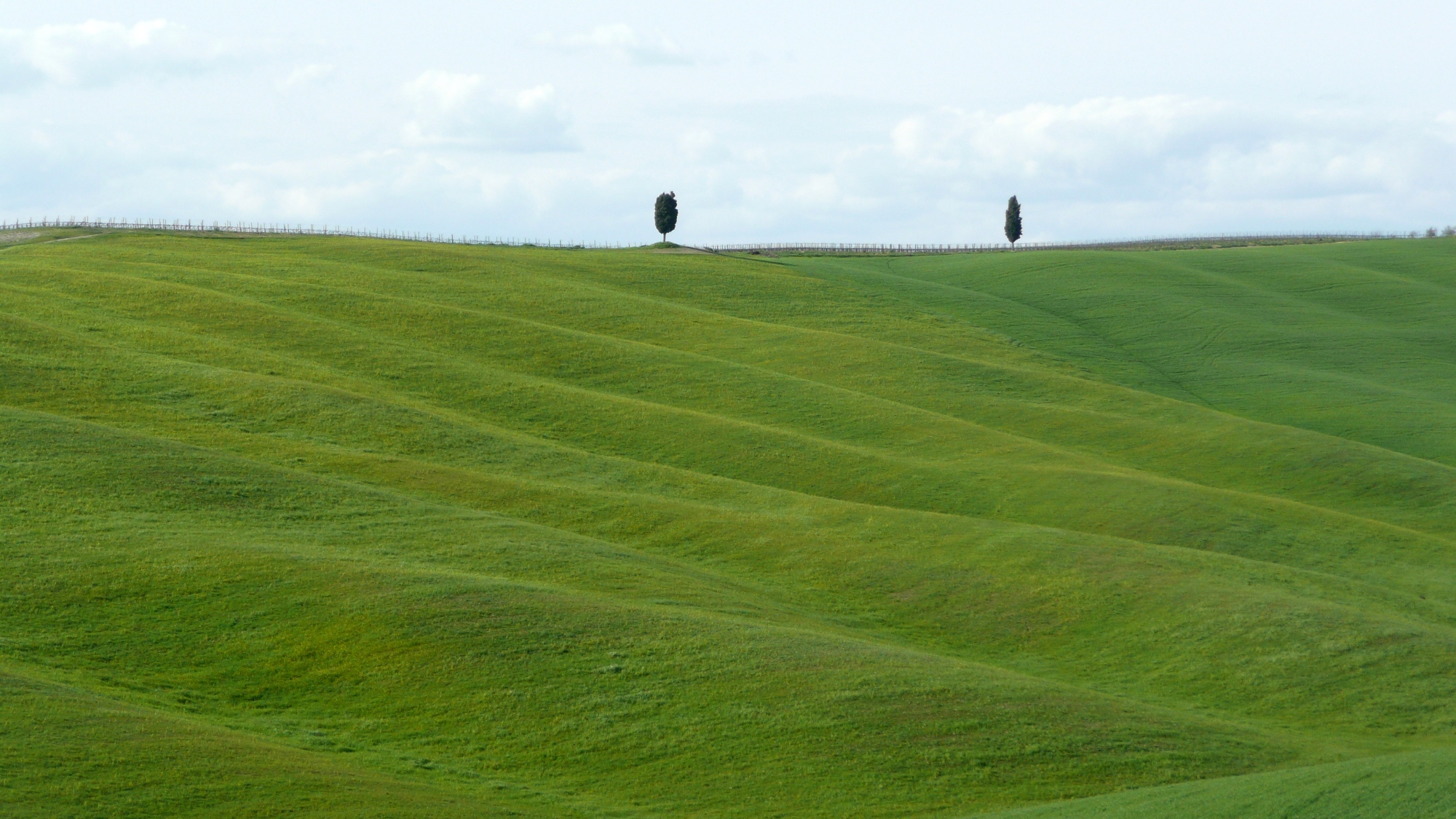 Campagne di San Quirico d'Orcia