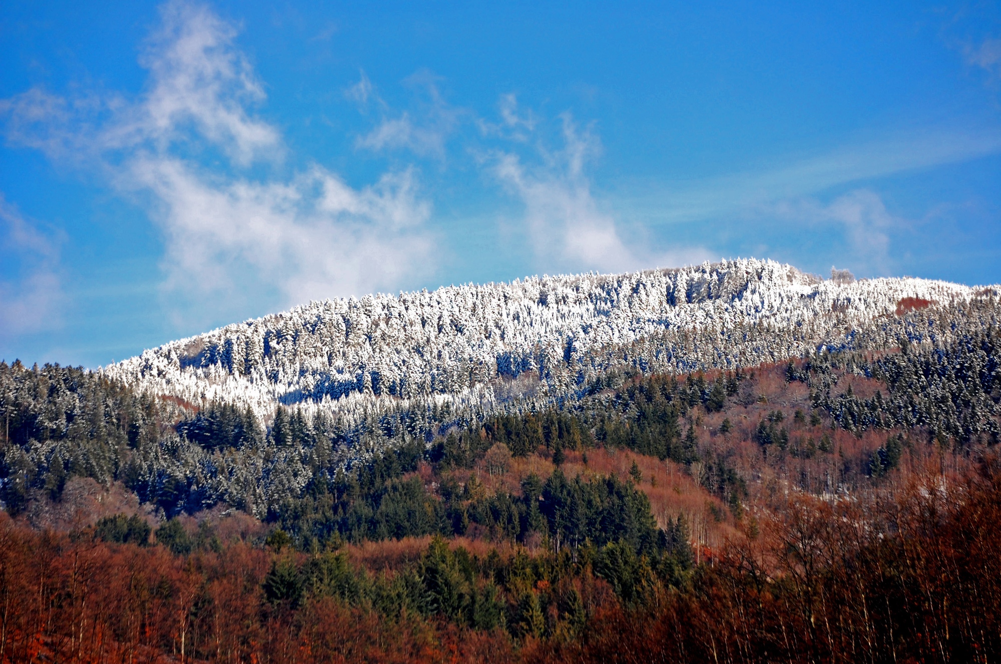 Campo Tizzoro, Montagna Pistoiese