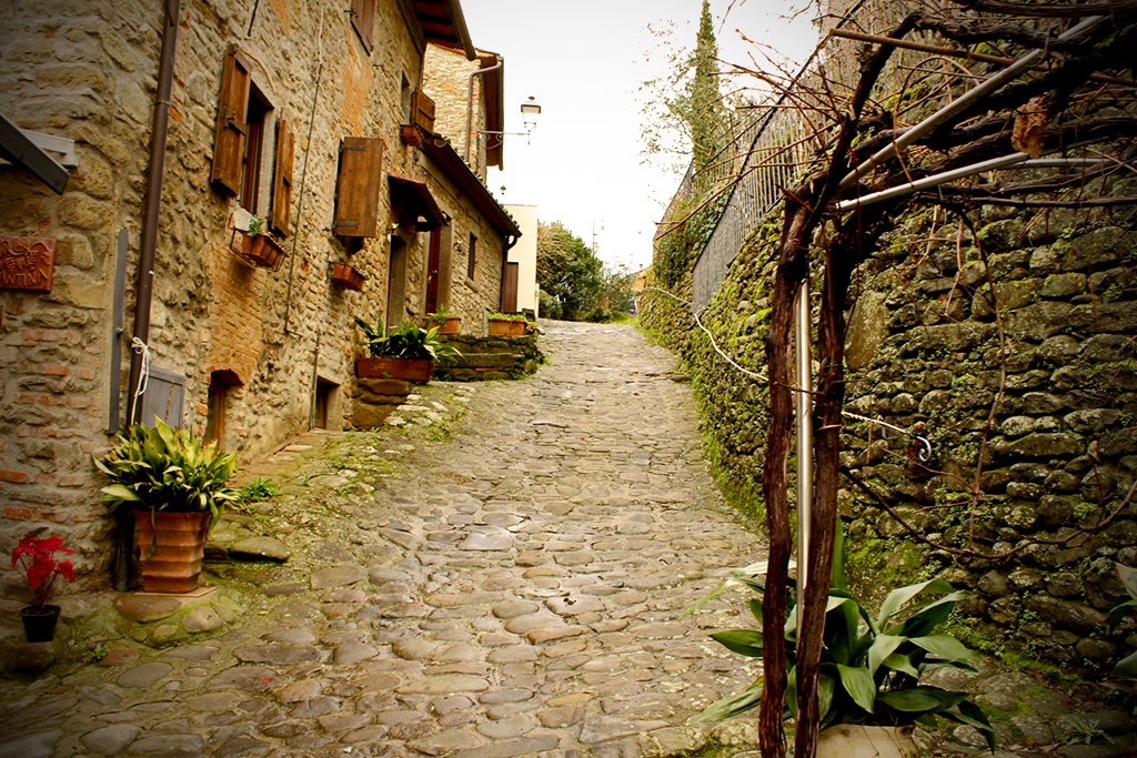 canto-maggio