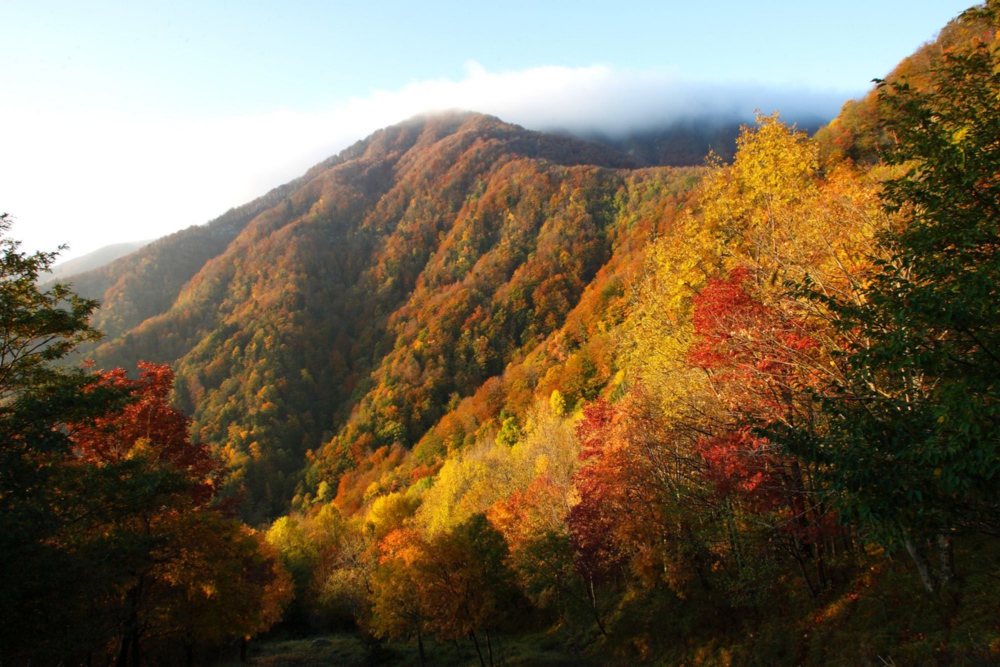 casentino autunno