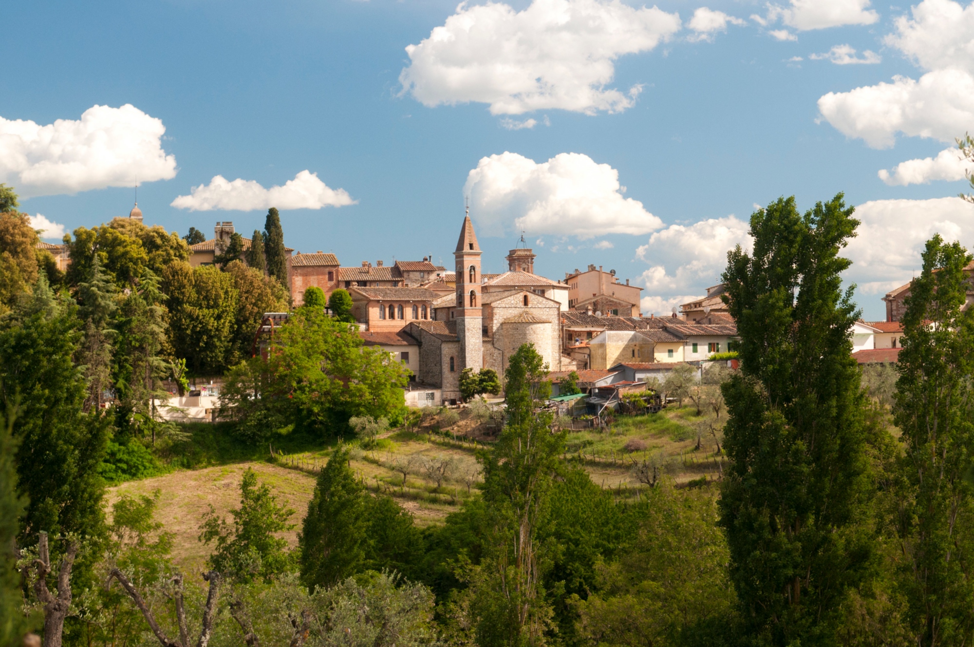 Castelnuovo Berardenga, vue