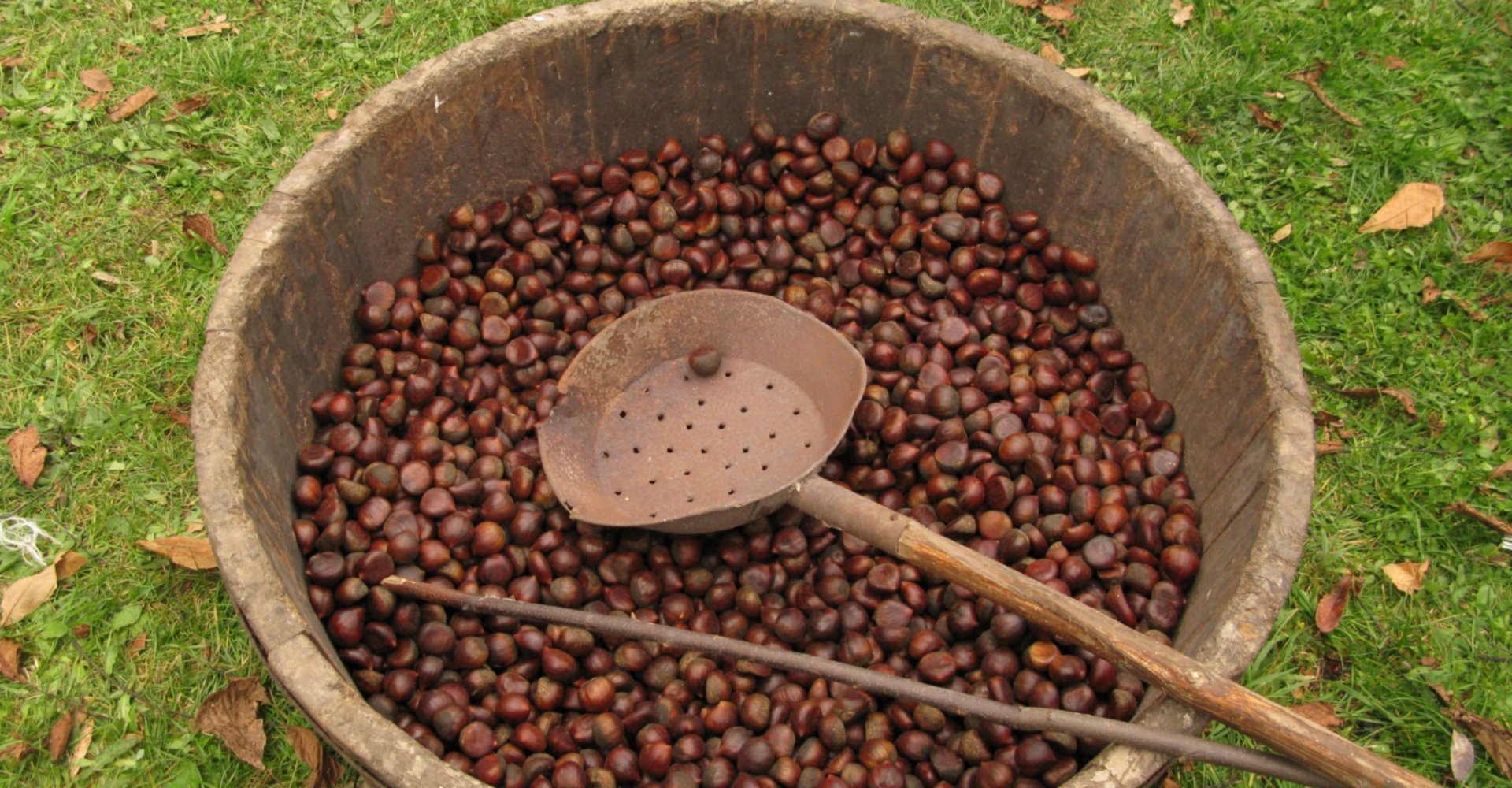 Castañas de Garfagnana