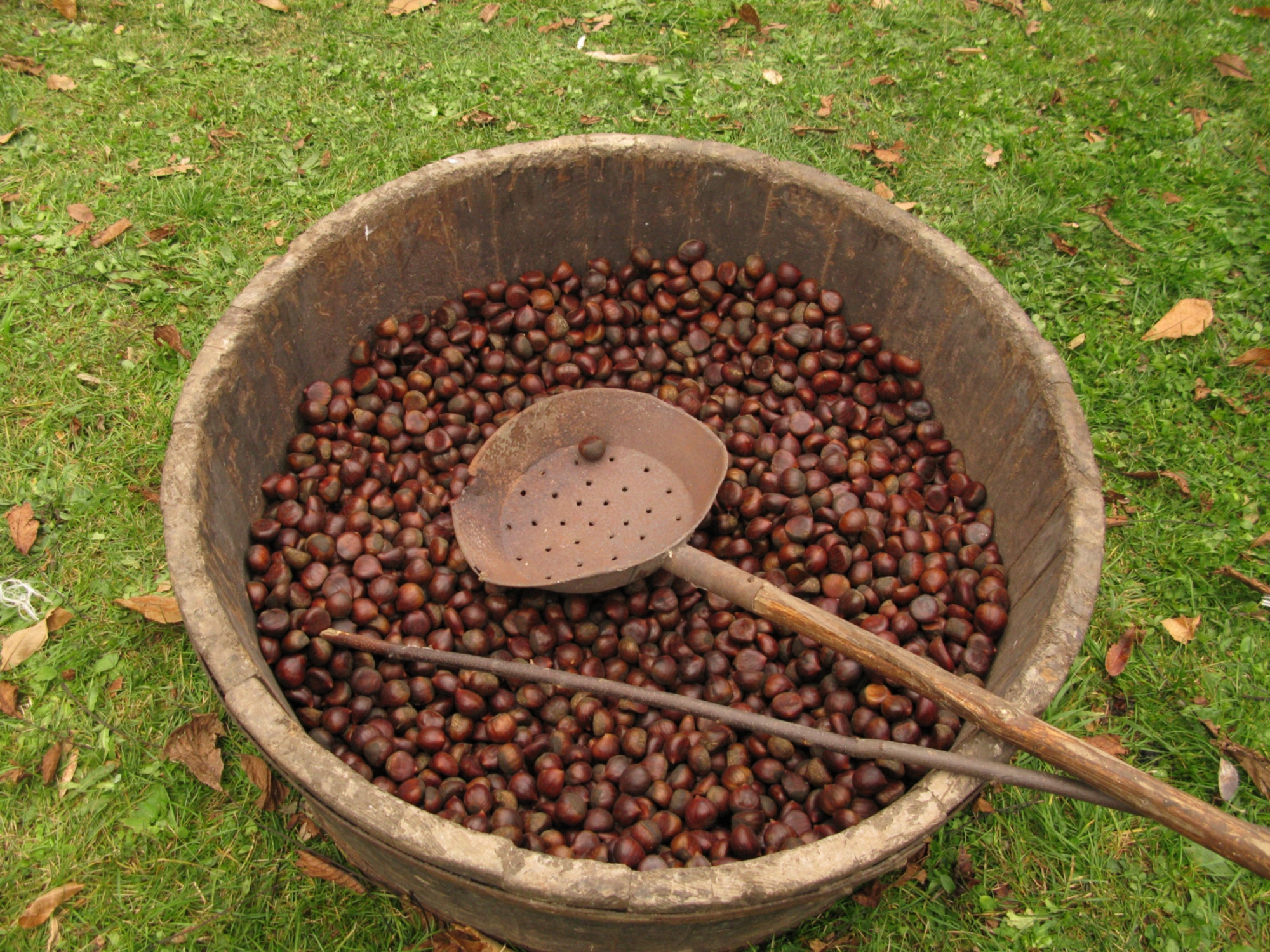 Garfagnana chestnuts