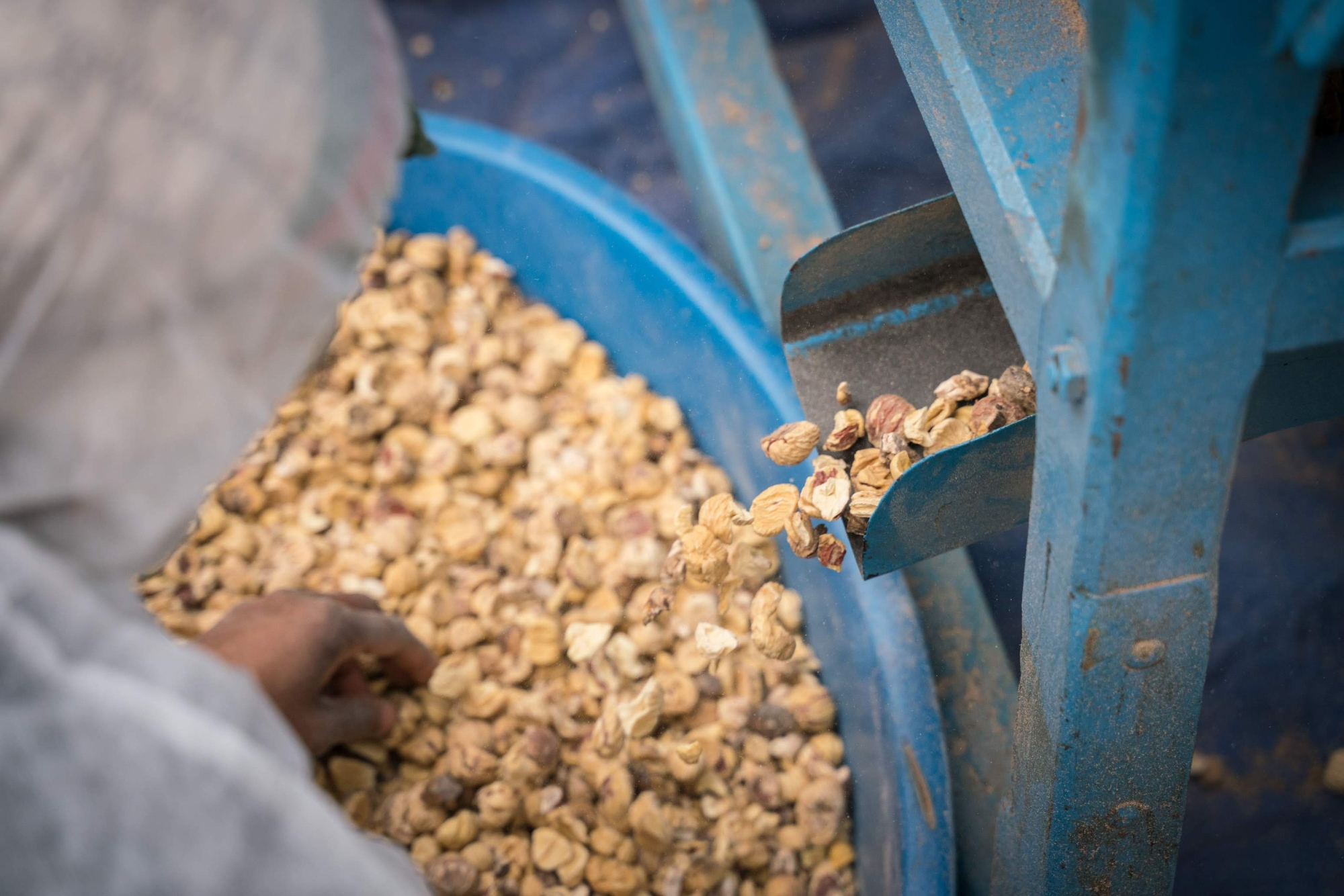 The Lunigiana Chestnut flour process