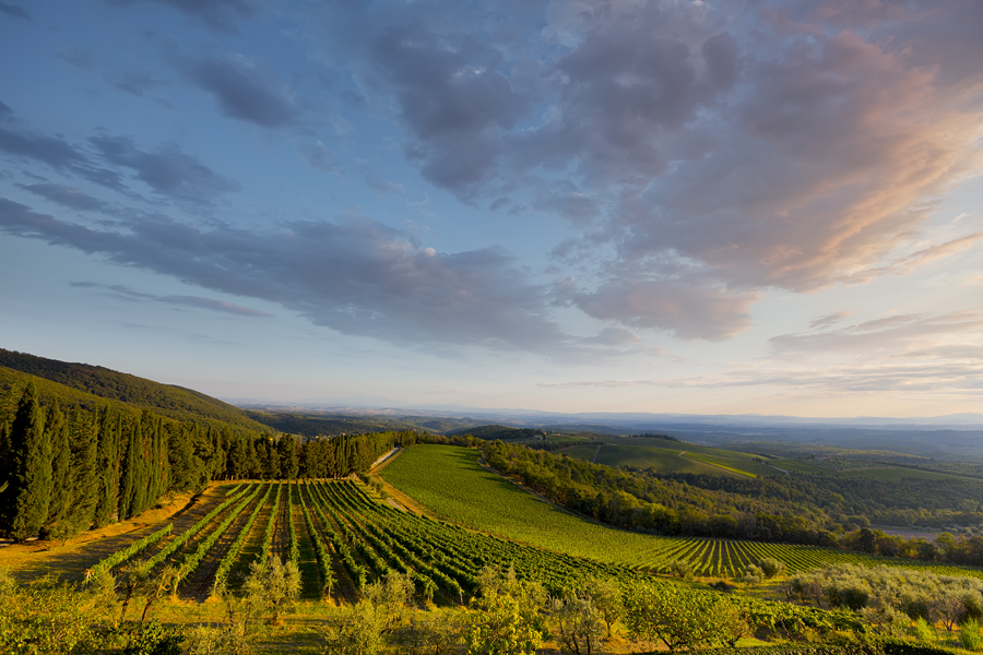 Tours of Tuscany Italy