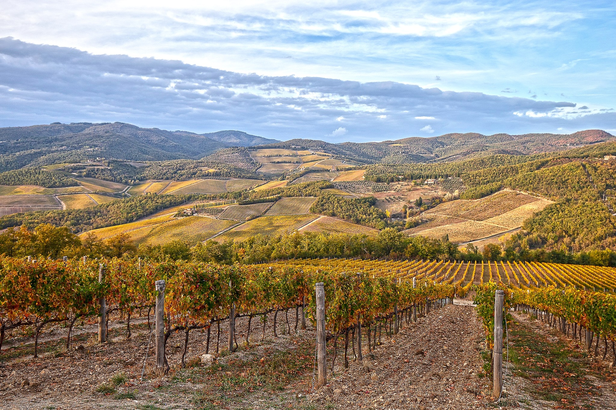 Autumn in the vineyards of Chianti