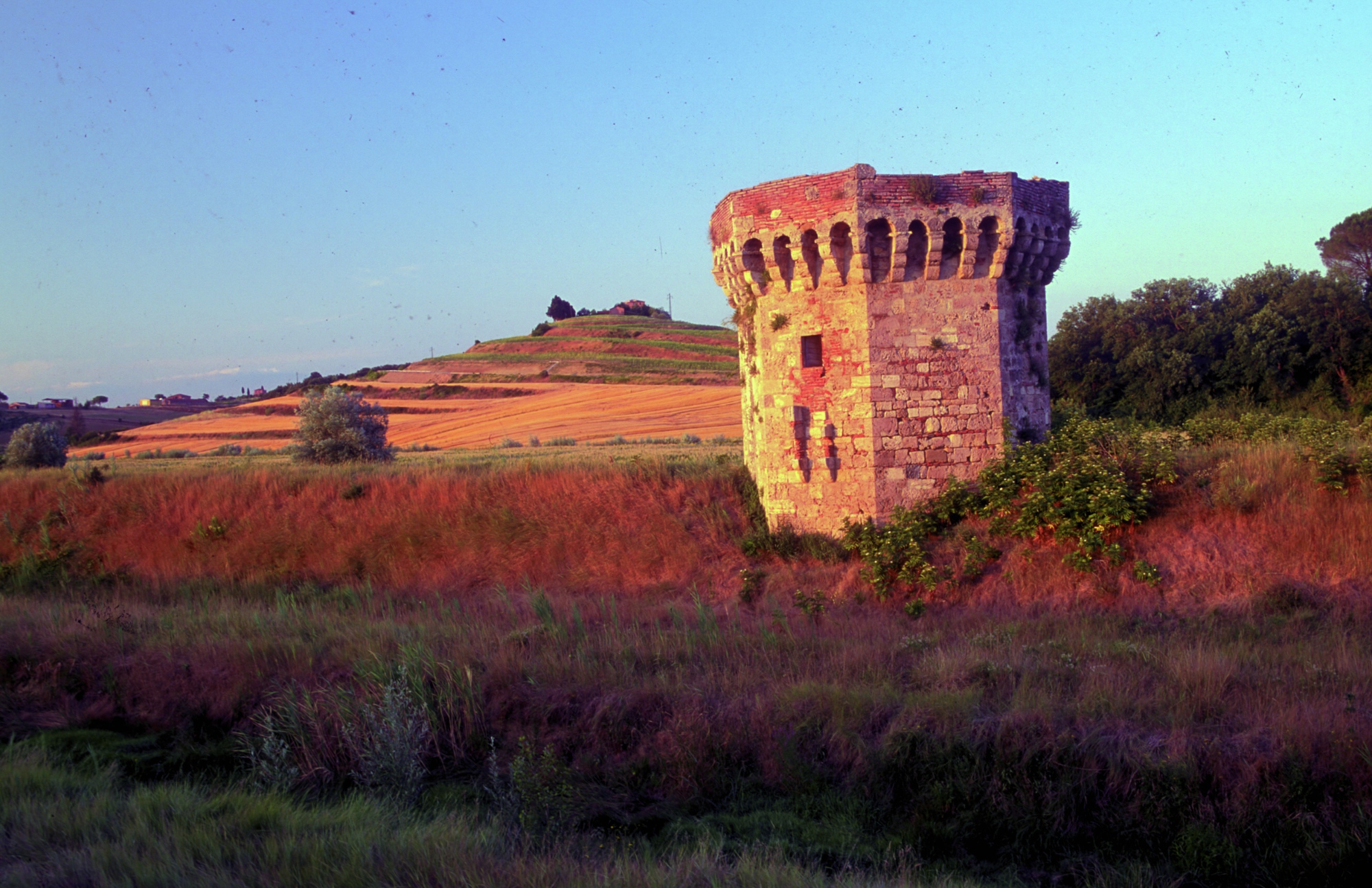 La Torre di Beccati Questo a Chiusi