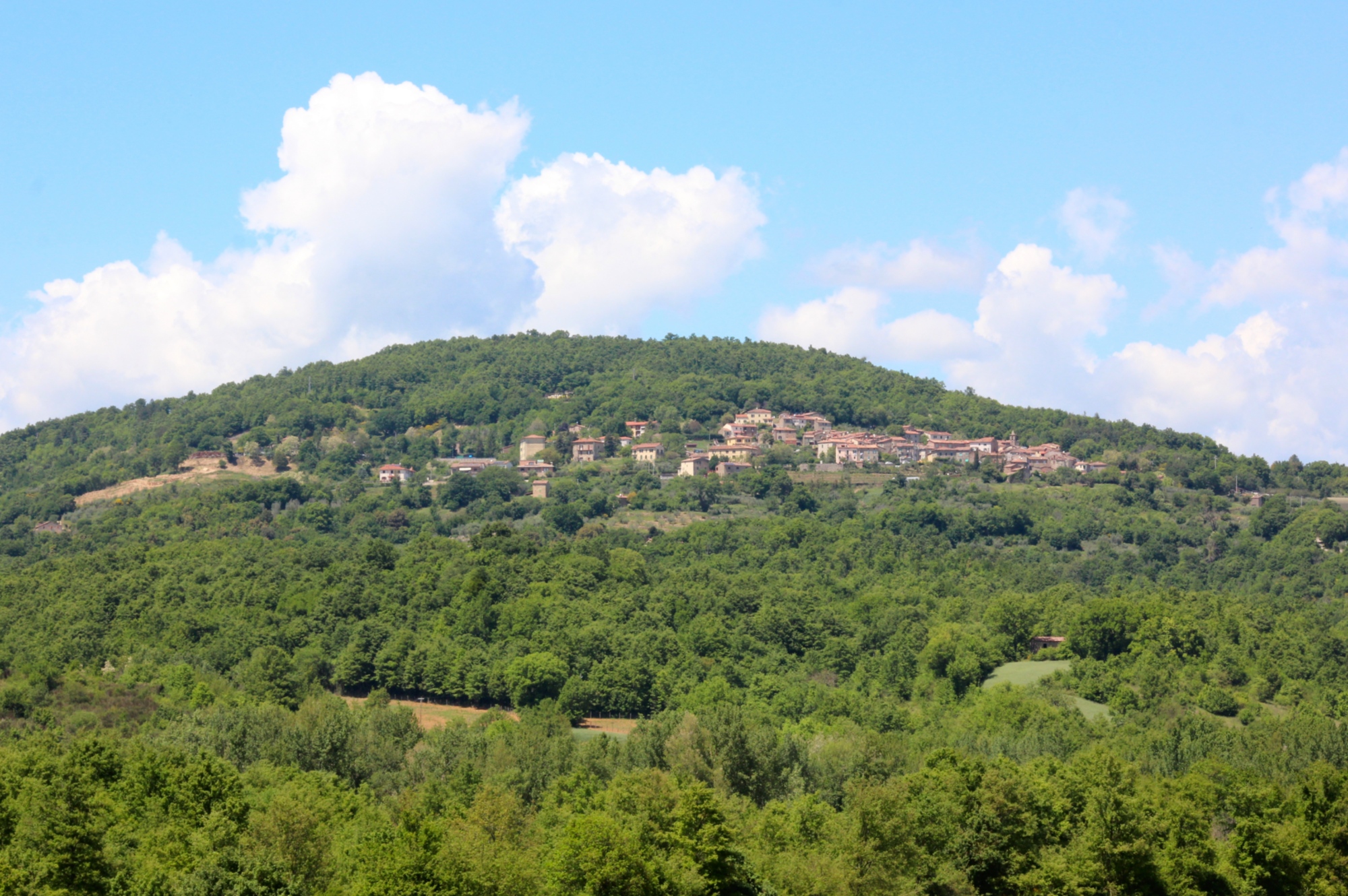 Chiusdino, panorama