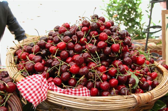 Cereza de Lari