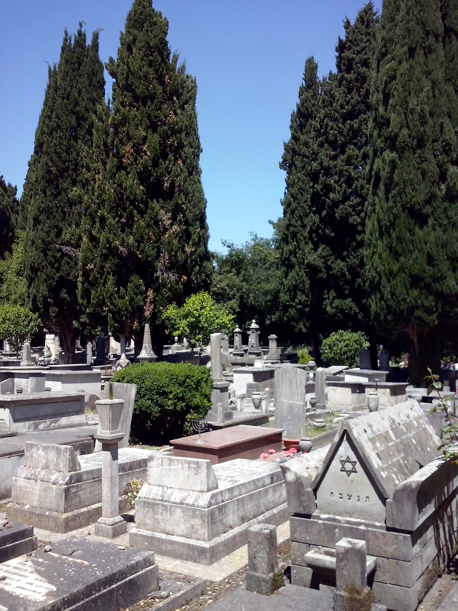 Jüdischer Friedhof von Pisa