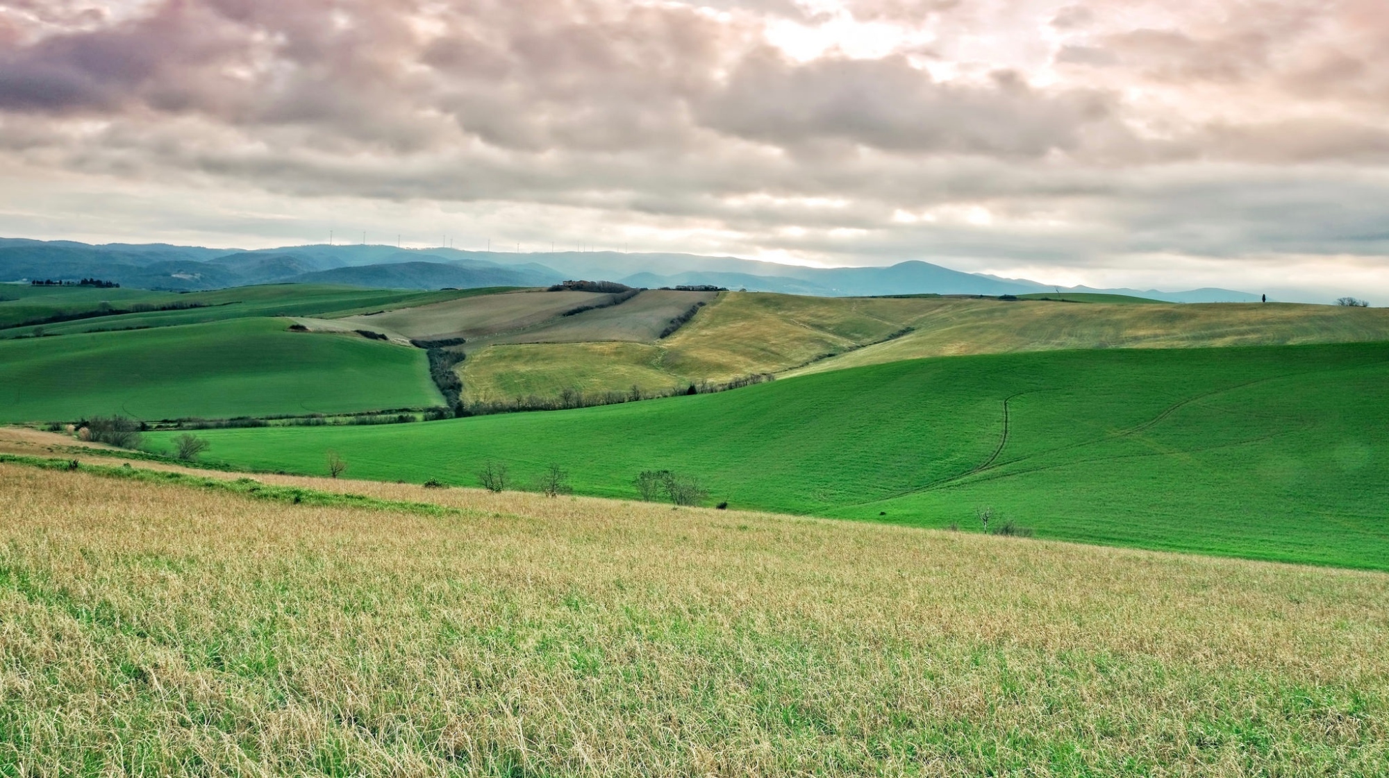 Monts de Livourne - Orciano