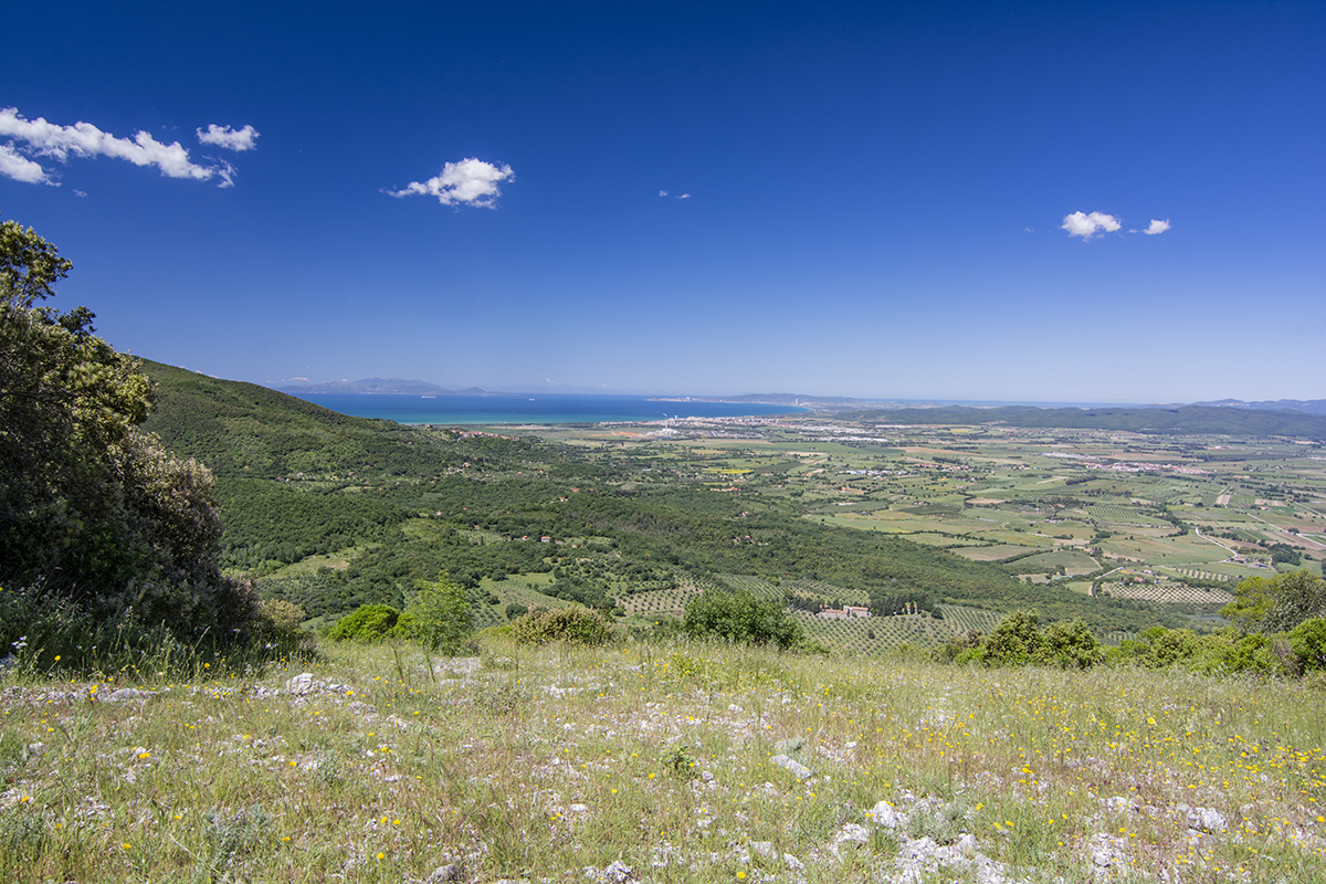 Vista de las Colinas Metalíferas