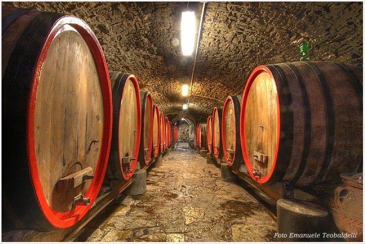 The ancient cellar at Castello del Trebbio