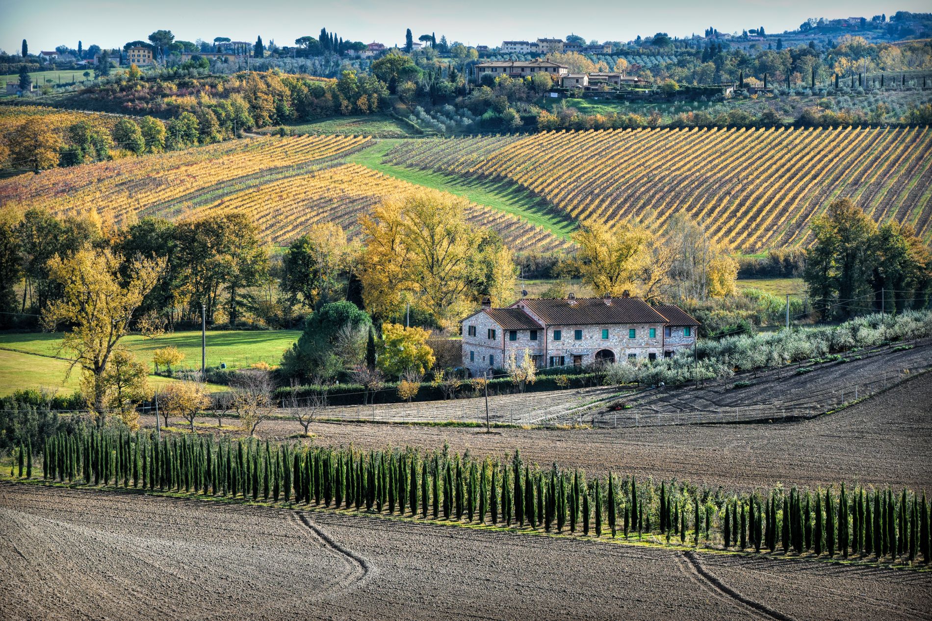 Gambassi Terme, countryside
