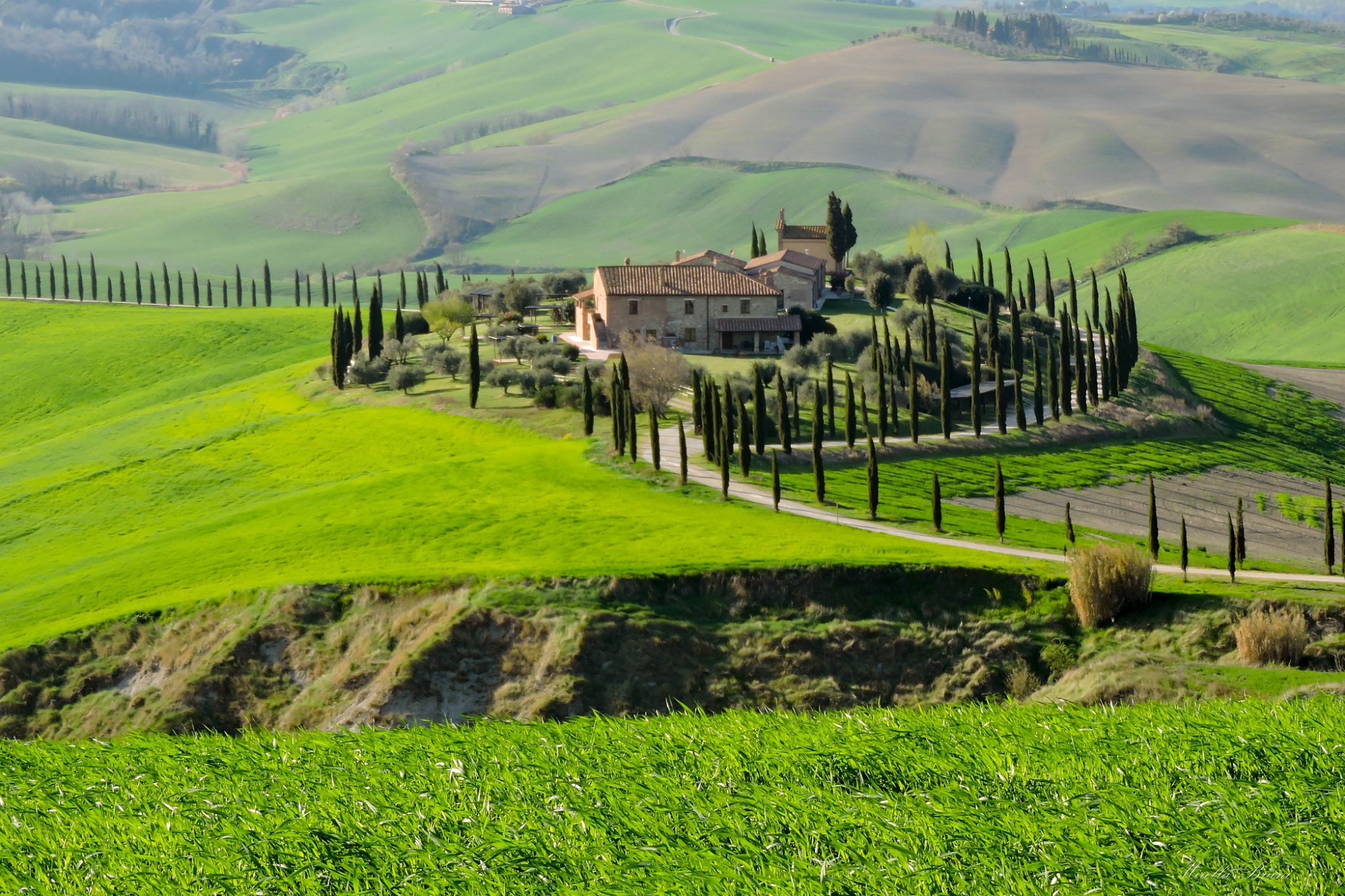 cè tra senesi e lucchesi