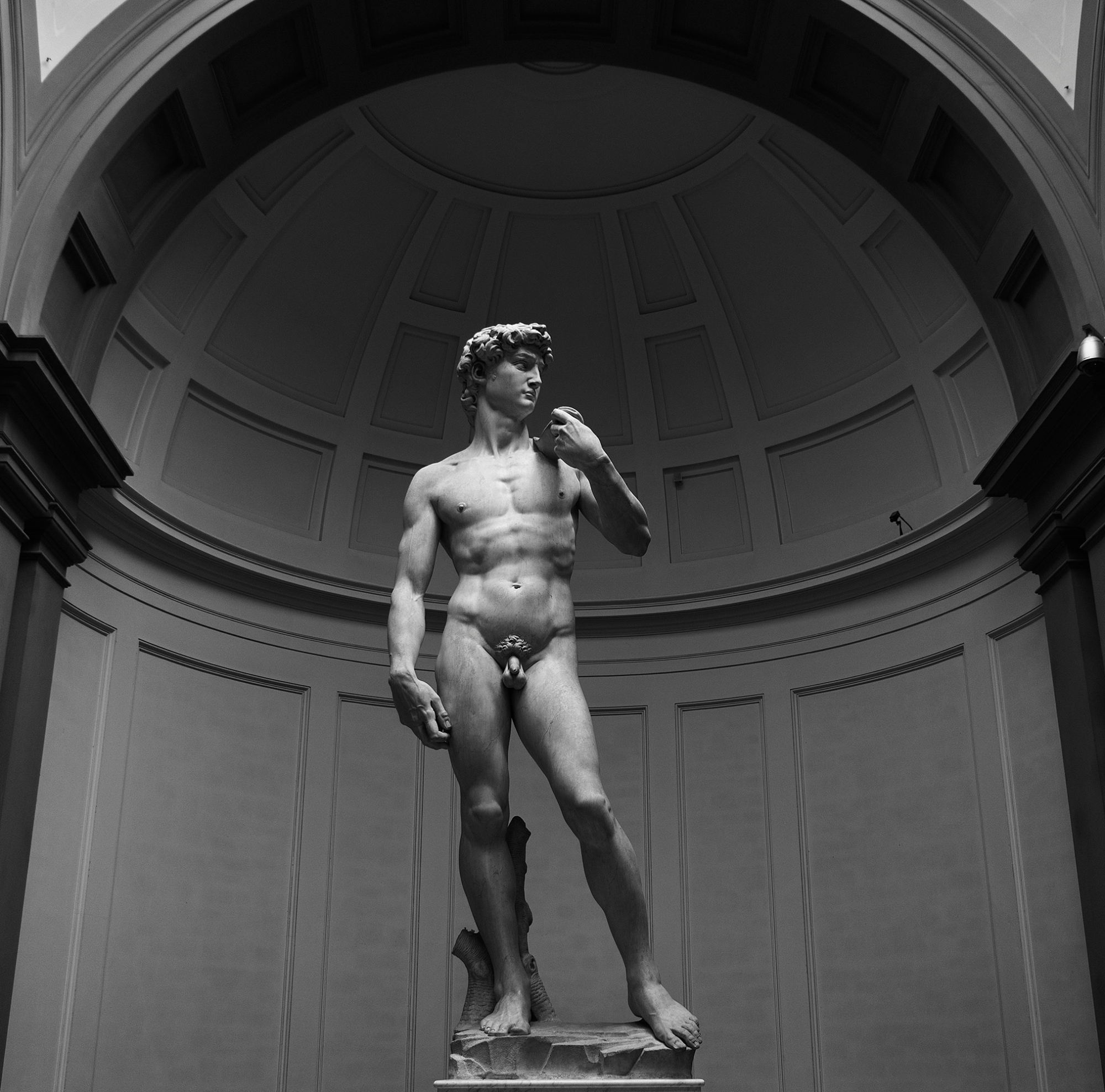 David de Michelangelo