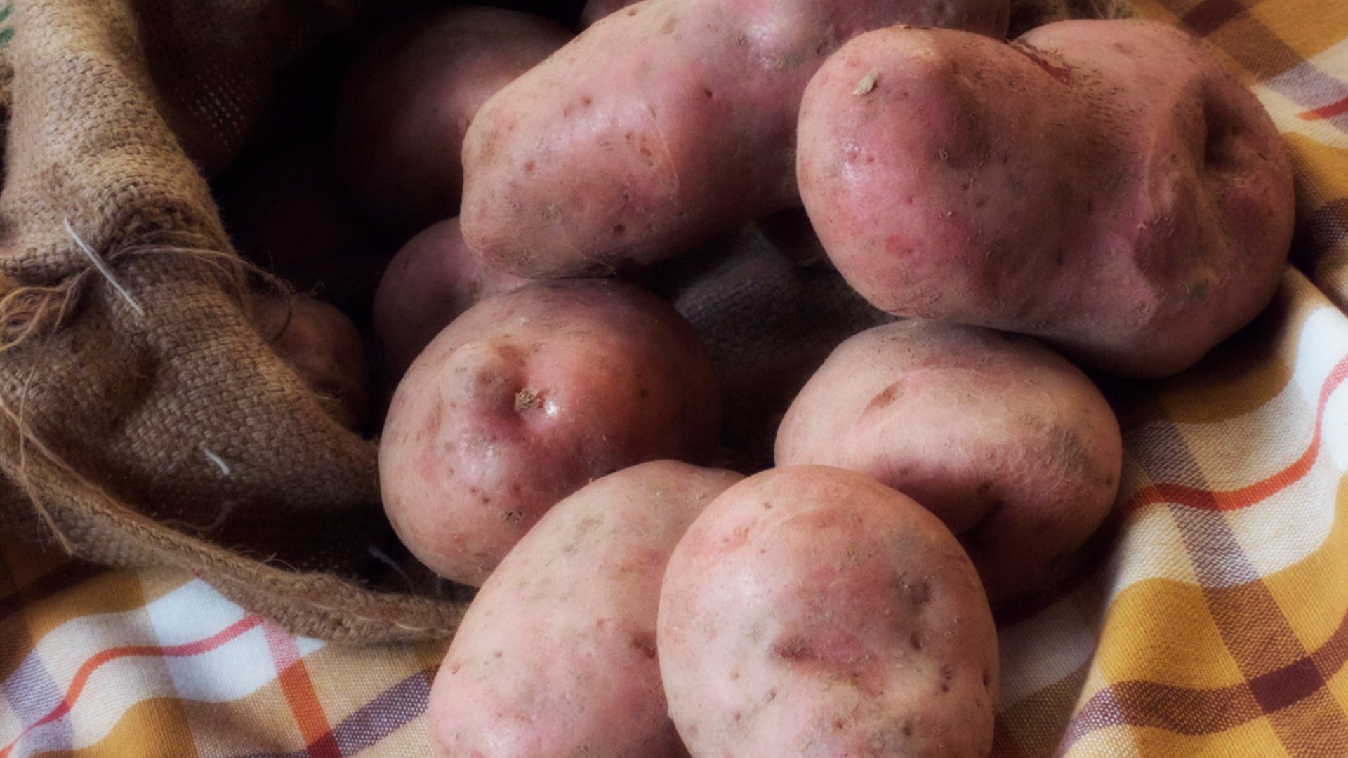Potatoes from the Garfagnana area
